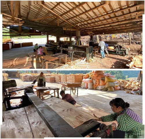 木業(yè)加工廠復工助力拓寬就業(yè)渠道